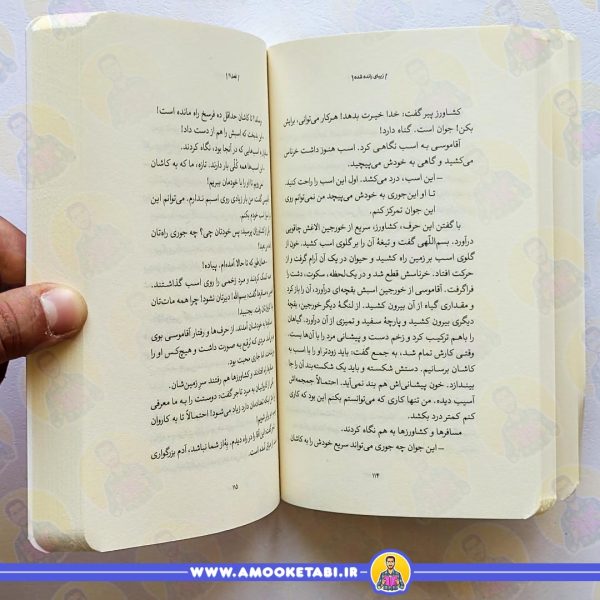 قیمت و خرید زیبای رانده شده عمو کتابی