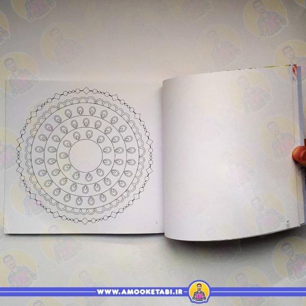 قیمت مغز من و رنگ آمیزی 5