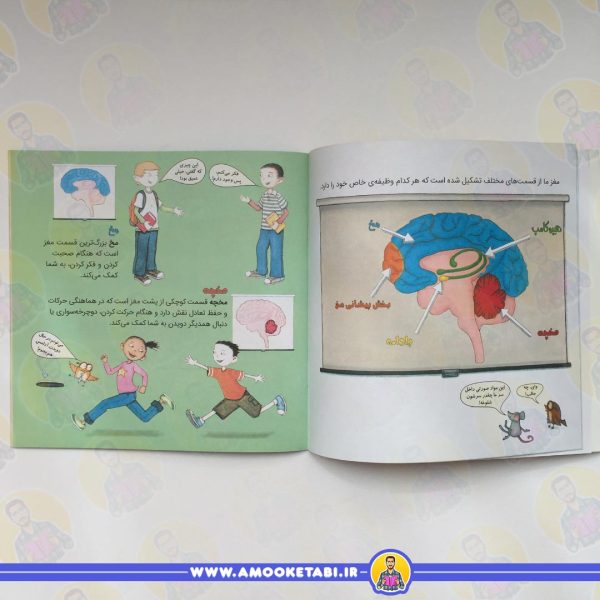 خرید و قیمت کتاب کودک مغز شگفت انگیز تو