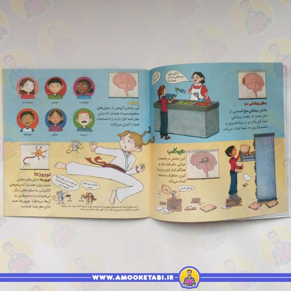 قیمت کتاب کودک مغز شگفت انگیز تو