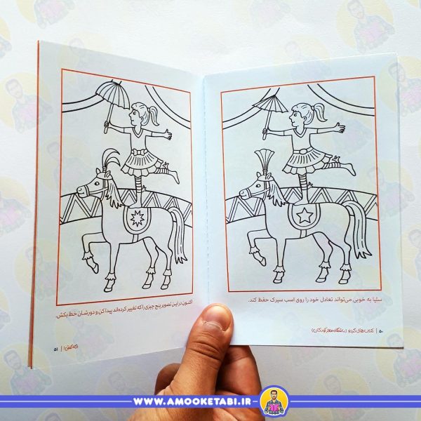خرید و قیمت گردو - اگه گفتی