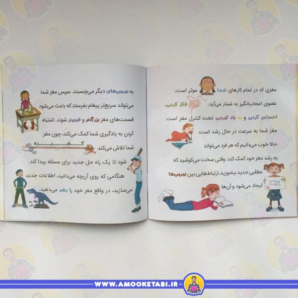 قیمت و خرید مغز شگفت انگیز تو