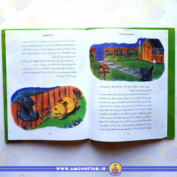 قیمت و خرید کتاب قصه هایی برای پسران