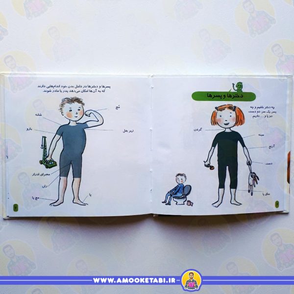 صفحه داخلی دایره المعارف کوچک(بدن من)