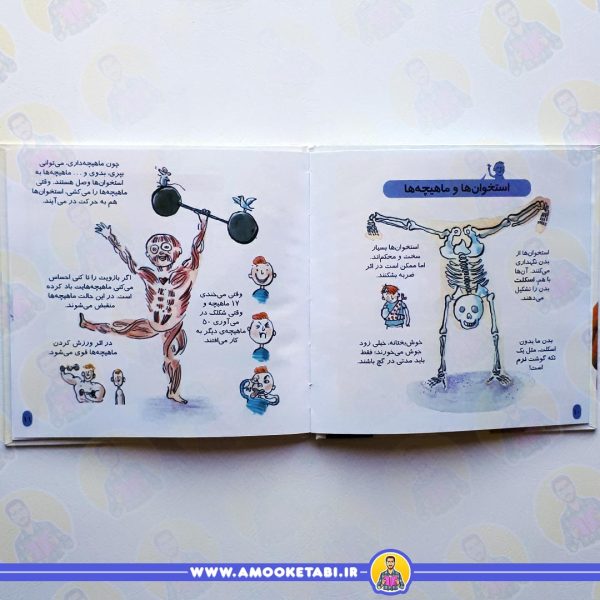 خرید دایره المعارف کوچک من (بدن من )
