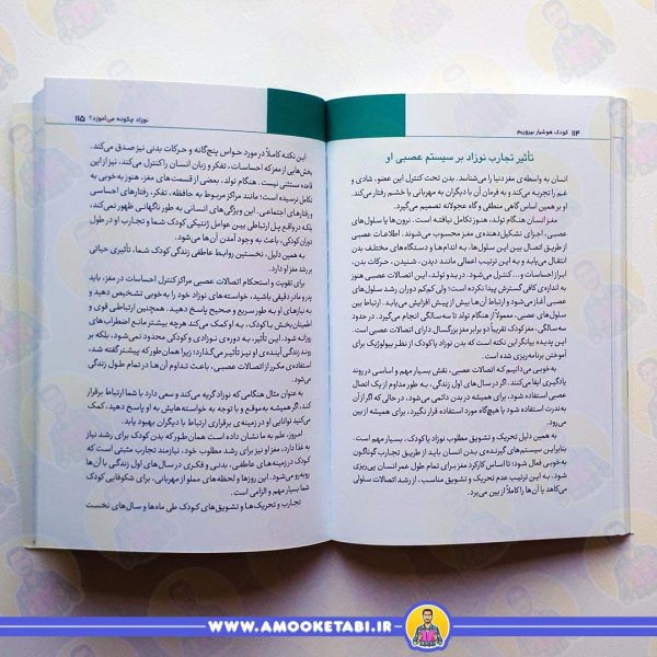 قیمت و خرید کودک هوشیار بپروریم