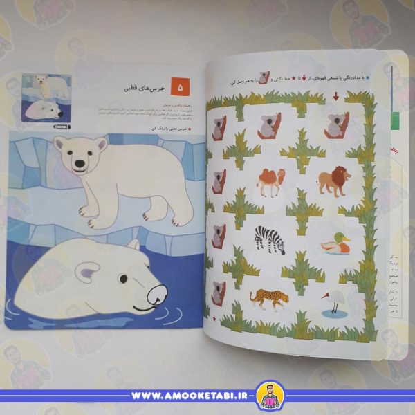 قیمت کومن - رنگ کنیم 3 (4 تا 6 سال)