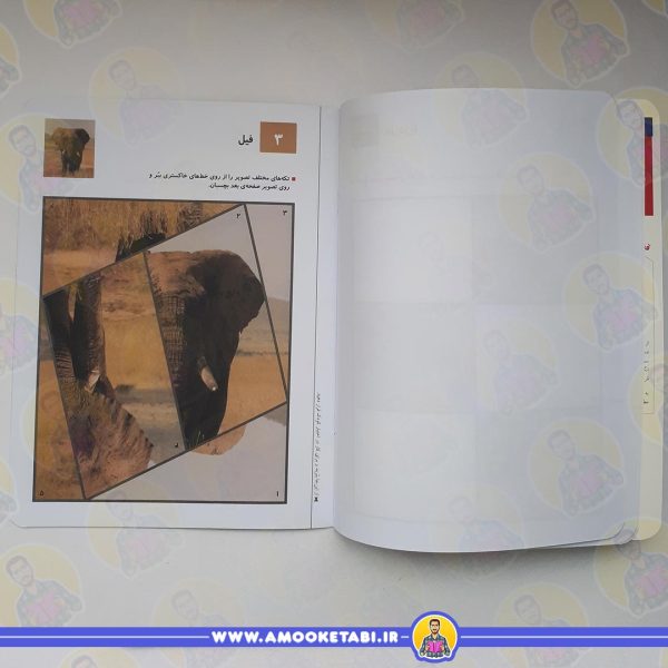 خرید کومن - چسباندن جورچین ها 1 (4 تا 6 سال)