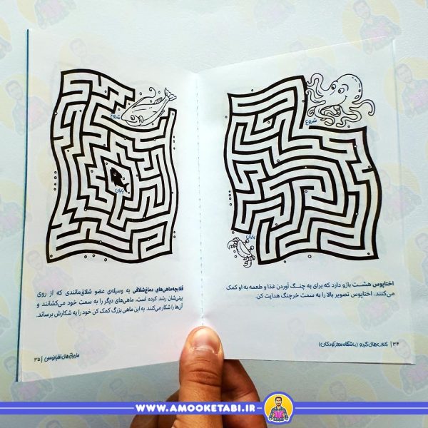 کتاب کودک گردو - مارپیچ های اقیانوسی