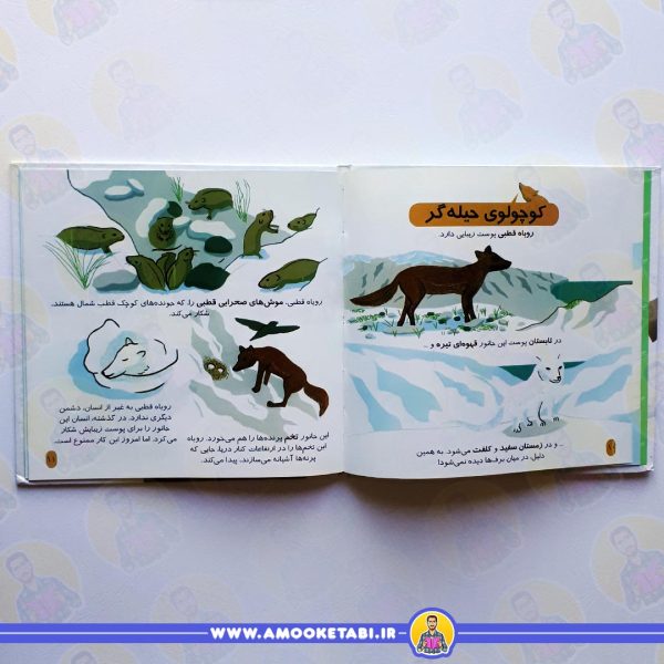 قیمت و خرید کتاب جانوران قطبی عمو کتابی