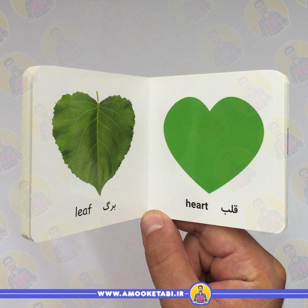 اولین کتاب من - شکل ها