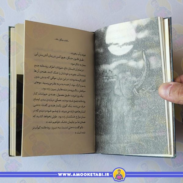 قیمت و خرید کتاب جنگل (کتابخانه کلاسیک)