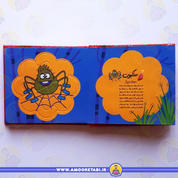خرید بخون و بچین کوچولو 6 (حشرات)