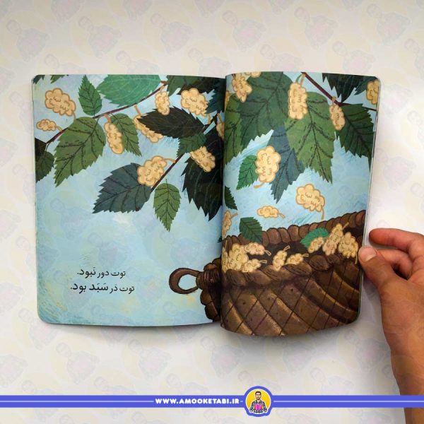 کلاس اولی کتاب اولی - سطح 1 (توت در سبد)