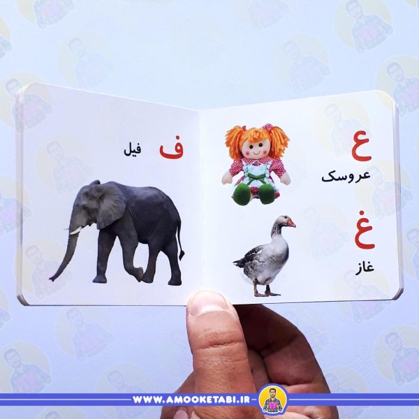 قیمت و خرید اولین کتاب من - حروف الفبا