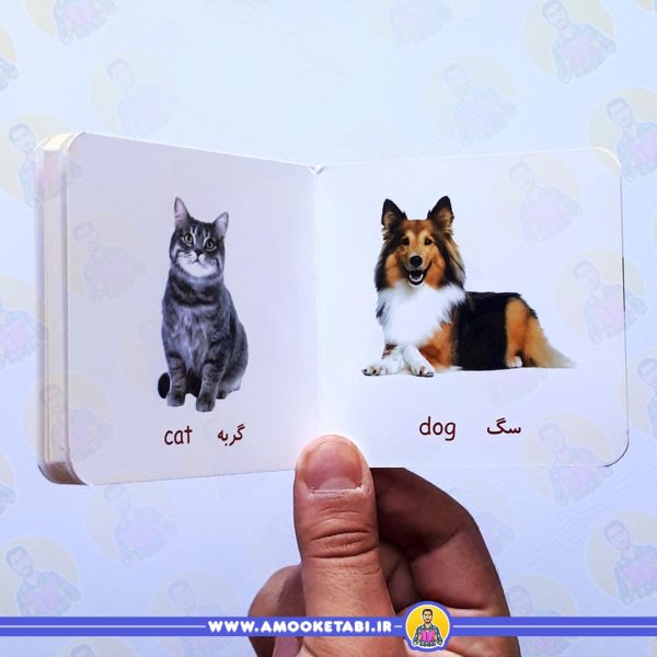 قیمت و خرید حیوانات مزرعه و خانگی
