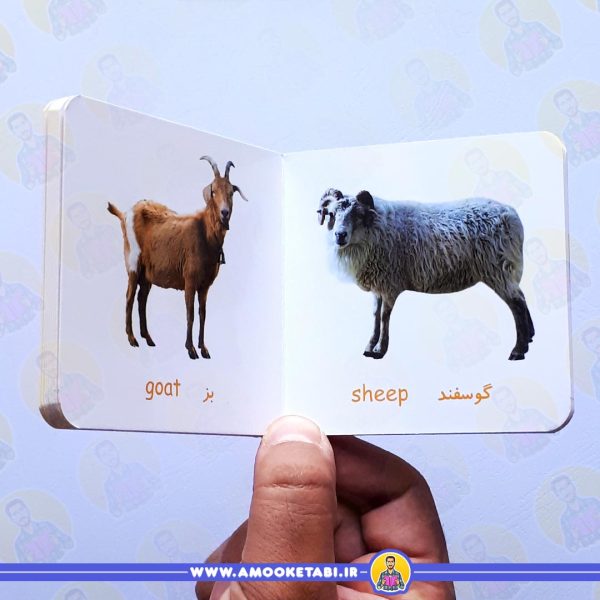 قیمت اولین کتاب من حیوانات مزرعه و خانگی