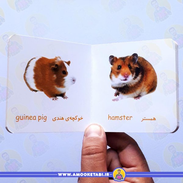 خرید اولین کتاب من حیوانات مزرعه و خانگی