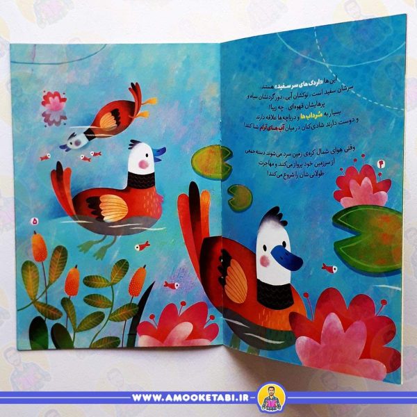 خرید کتاب اردک های سفید خداشناسی 4
