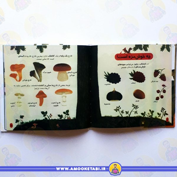 خرید جنگل (دایره المعارف کوچک من)