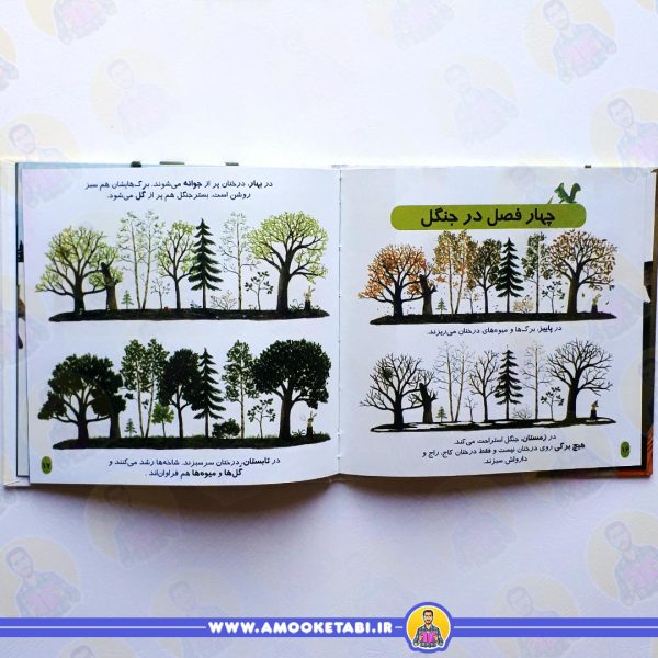 قیمت جنگل (دایره المعارف کوچک من)