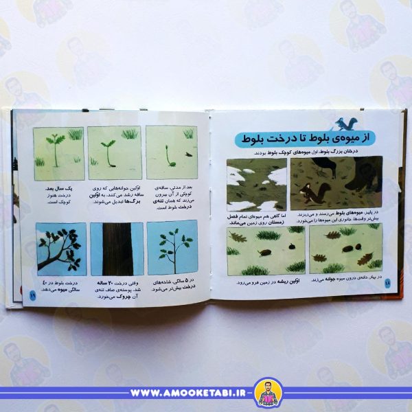 صفحه داخلی جنگل (دایره المعارف کوچک من)