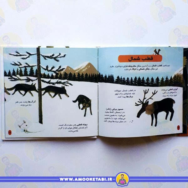 قیمت و خرید جنگل (دایره المعارف کوچک من)