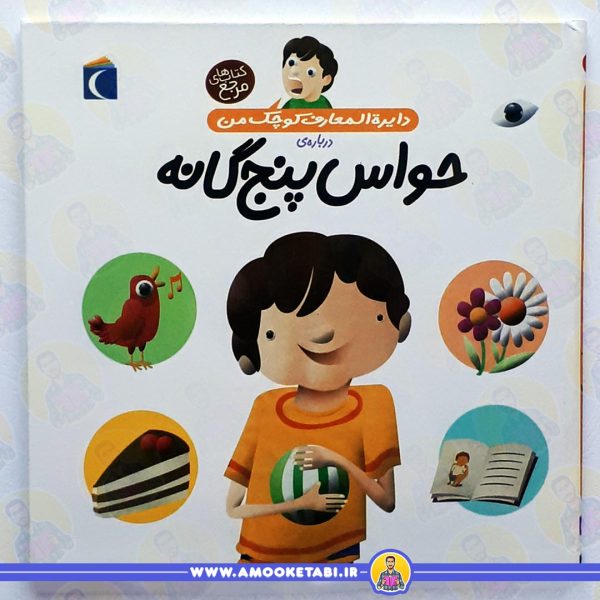 قیمت و خرید حواس پنج گانه (دایره المعارف کوچک)