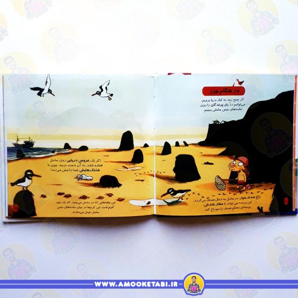 خرید کنار دریا (دایره المعارف کوچک من)