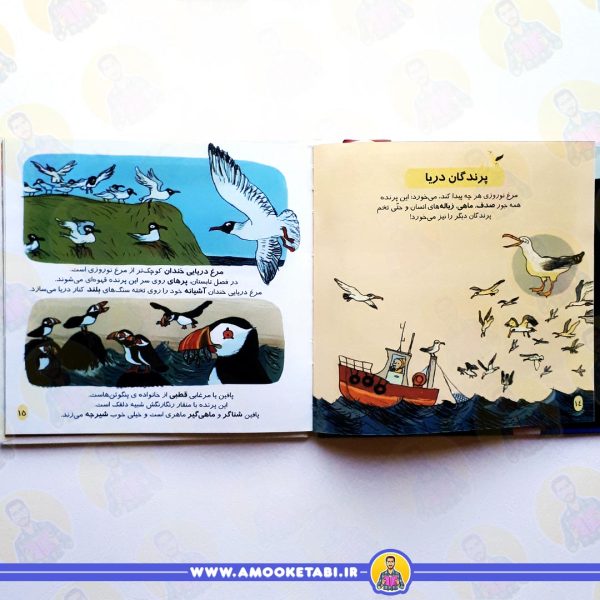 قیمت و خرید کنار دریا (دایره المعارف کوچک من)