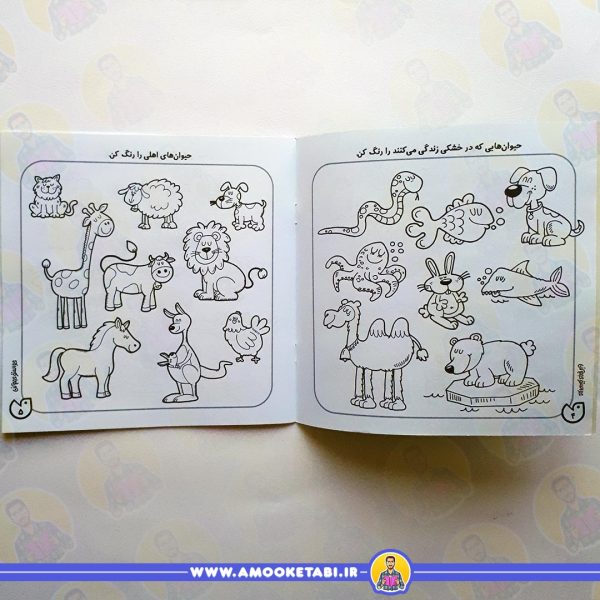 خرید کتاب کودک حواستو جمع کن 5
