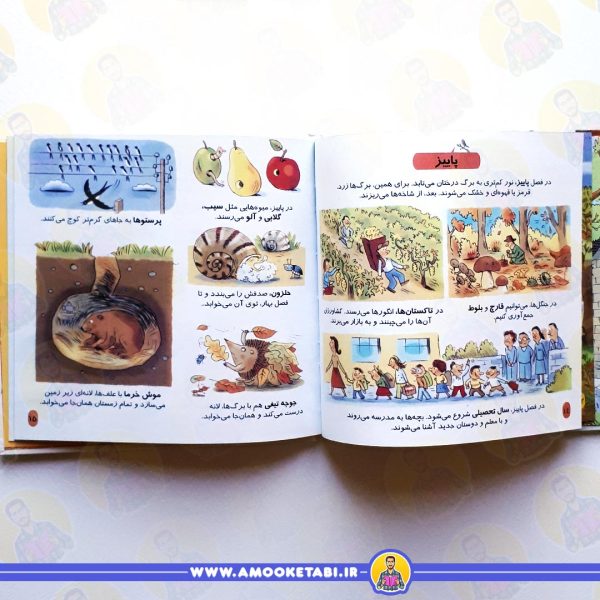 قیمت و خرید کتاب دایره المعارف (فصل ها)