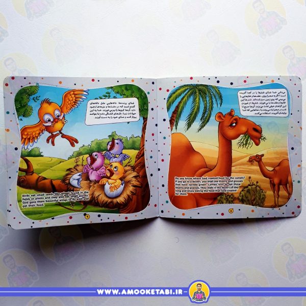 خرید کتاب خدا غذا می دهد