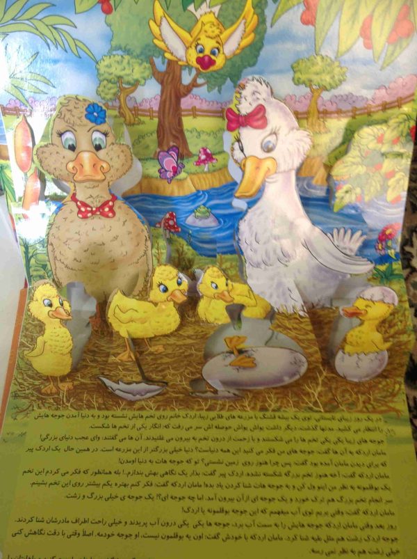 کتاب برجسته - جوجه اردک زشت