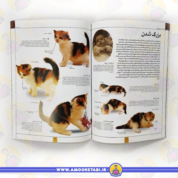 قیمت و خرید کتاب دانشنامه مصور پستانداران