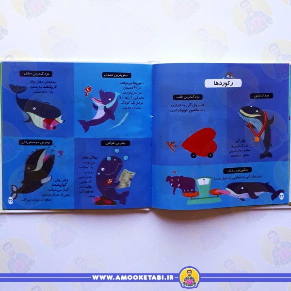خرید دایره المعارف کوچک من(دلفین ها و وال ها)