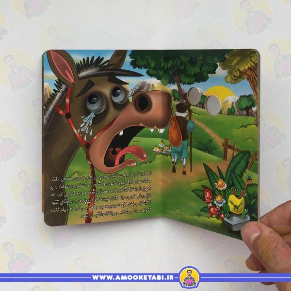 خرید چشمی الاغ دانا
