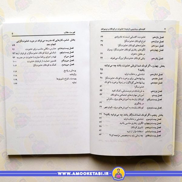 قیمت کلیدهای رویارویی با پدیده خشونت نوجوانان