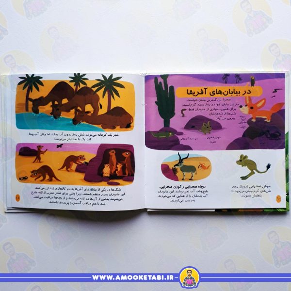 خرید و قیمت دایره المعارف کوچک من جانوران دنیا