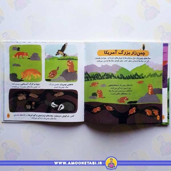 خرید دایره المعارف کوچک من جانوران دنیا