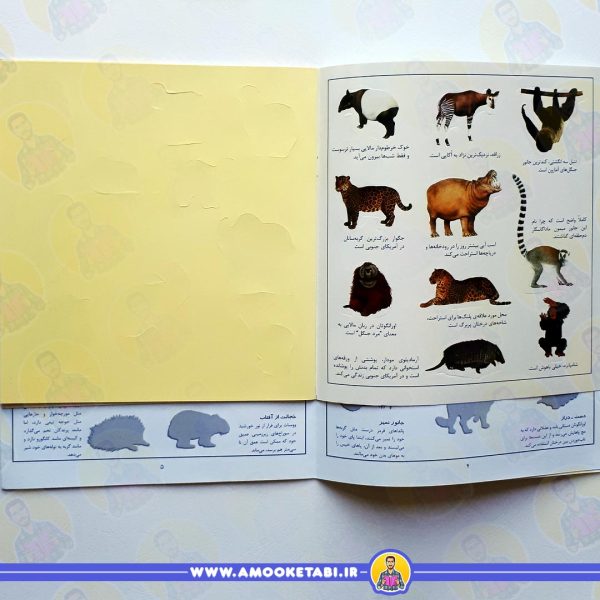 خرید بچسبان و بیاموز 1 (جانوران)