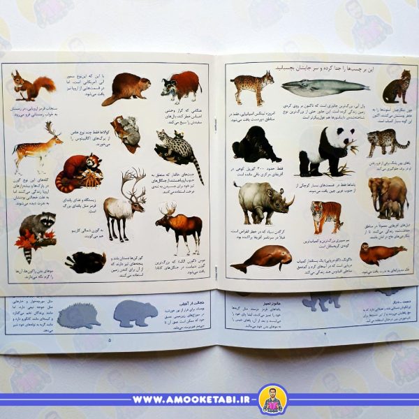 قیمت و خرید بچسبان و بیاموز 1 (جانوران)