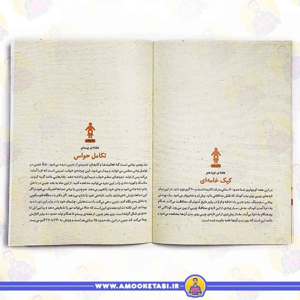 خرید کتاب نی نی من مسافر دل من ترانه بارداری