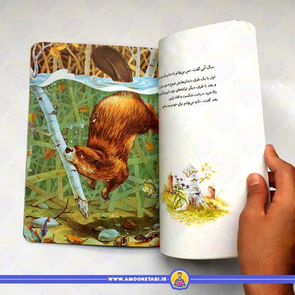 کتاب فرانکلین دروغ می گوید