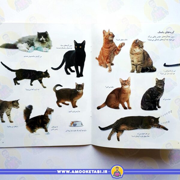 خرید و قیمت کتاب بچسبان و بیاموز 15 گربه ها و بچه گربه ها