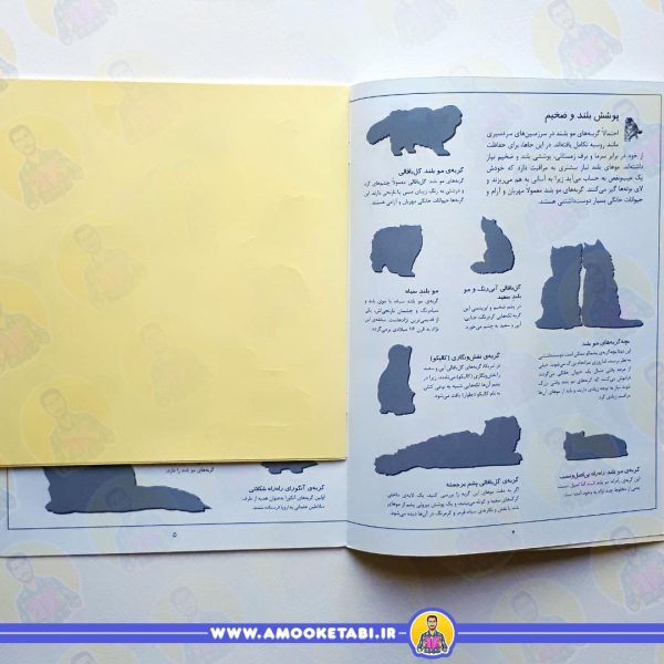 بچسبان و بیاموز 16 (گربه ها)