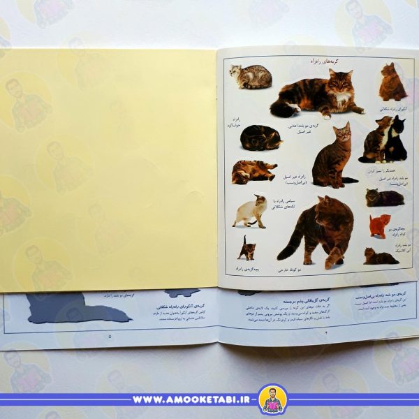 قیمت بچسبان و بیاموز 16 (گربه ها)