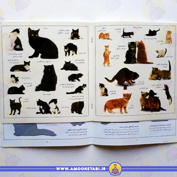 قیمت و خرید بچسبان و بیاموز 16 (گربه ها)