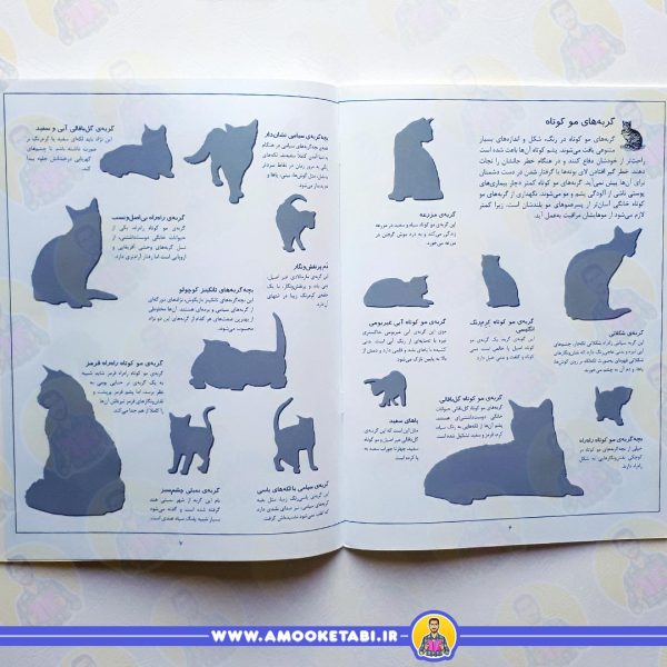 صفحه داخلی بچسبان و بیاموز 16 (گربه ها)