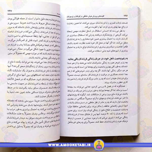 خرید کلیدهای پرورش هوش عاطفی در نوجوانان